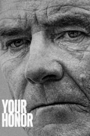 Your Honor: Temporada 1