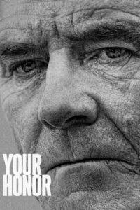 Your Honor: Temporada 1