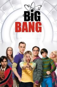 Big Bang: Temporada 9