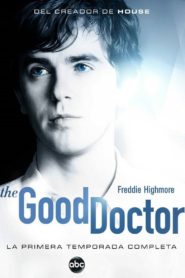 The Good Doctor: Temporada 1