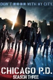 Chicago P.D.: Temporada 3