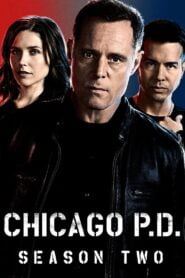 Chicago P.D.: Temporada 2