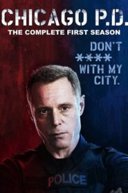 Chicago P.D.: Temporada 1