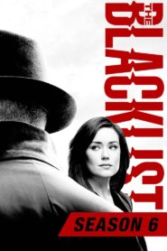 The Blacklist: Temporada 6