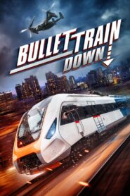 Tren Bala Abatido (Bullet Train Down)