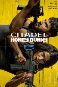 Citadel Honey Bunny 2024