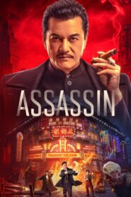 Tiempo de asesinos (Assassin)